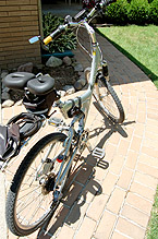Giant Sedona DS Bicycle-Spiderflex Hornless Saddle-Alfredo