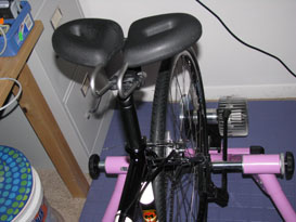 Sue's bicycle Spiderflex - Comfortable Bicycle Saddle installed