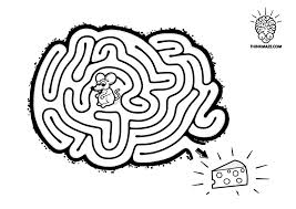 mouse in a brain maze